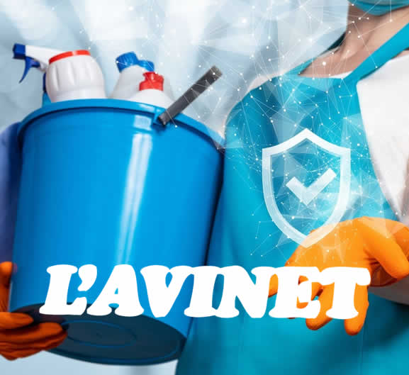 Lavinet Neteges empresa